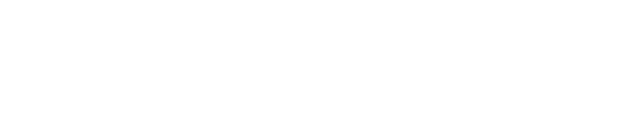 Strics.AI logo, white