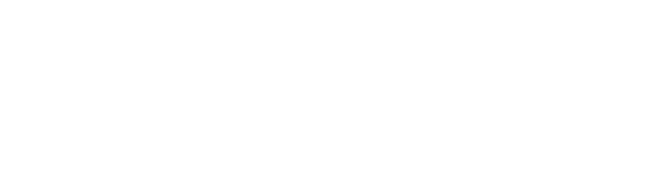 Strics logo, white